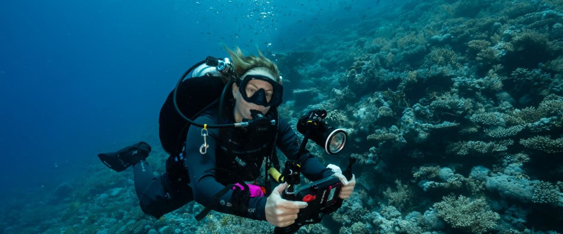 Pricing for Diving Apps: How to Find the Best Deals and Get the Most Out of Your Money