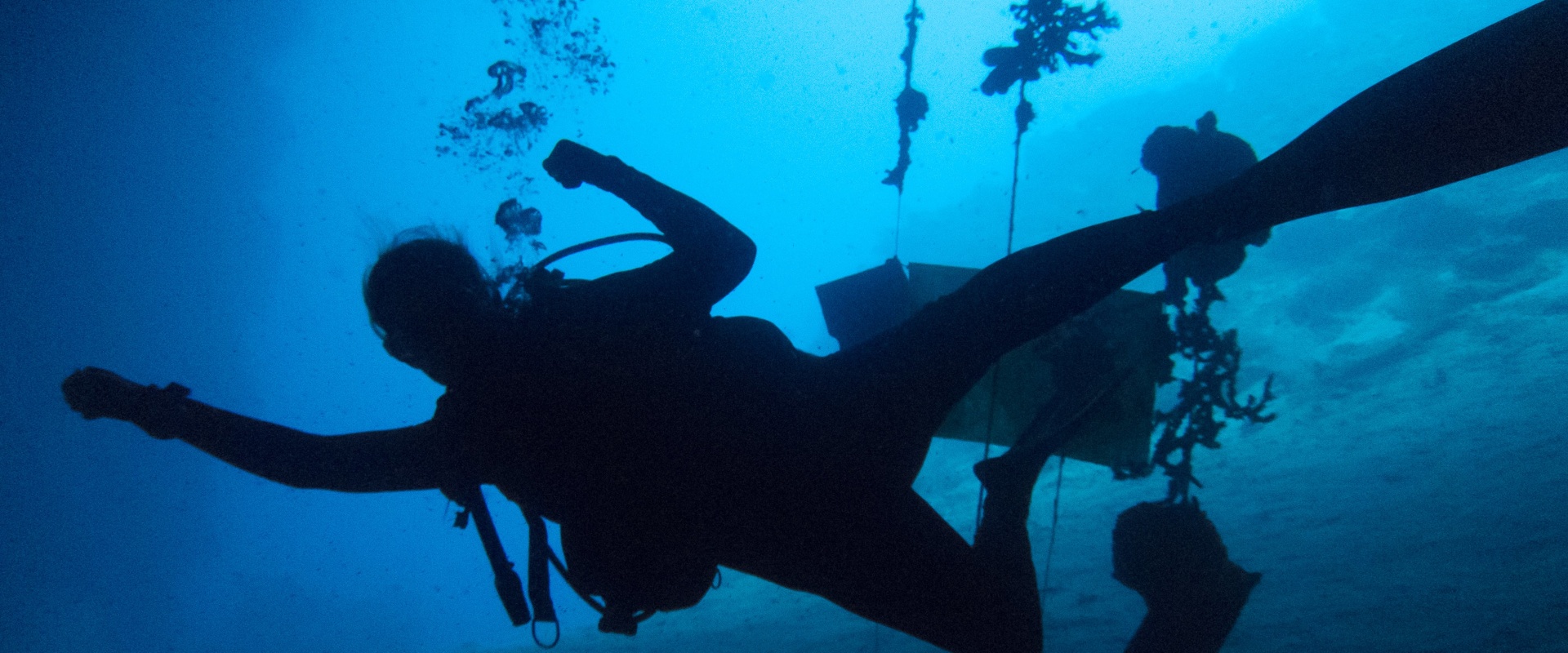 Dealing with Currents and Other Hazards: Essential Safety Tips for Scuba Diving Apps Users