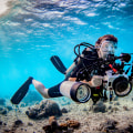 Light Up Your Underwater Photography: Techniques and Tools for Diving Apps Users