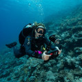 Pricing for Diving Apps: How to Find the Best Deals and Get the Most Out of Your Money