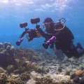 Adding Photos and Videos for a Better Diving Experience