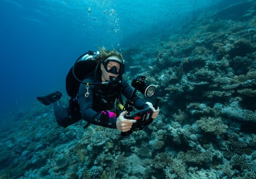 Pricing for Diving Apps: How to Find the Best Deals and Get the Most Out of Your Money