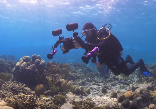 Adding Photos and Videos for a Better Diving Experience