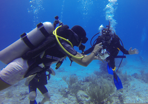 Setting Up Dive Parameters: An Essential Guide for Divers